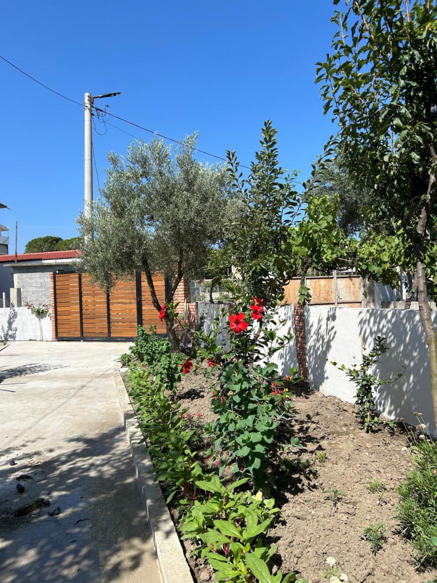 Vila Roan Vlorë Extérieur photo